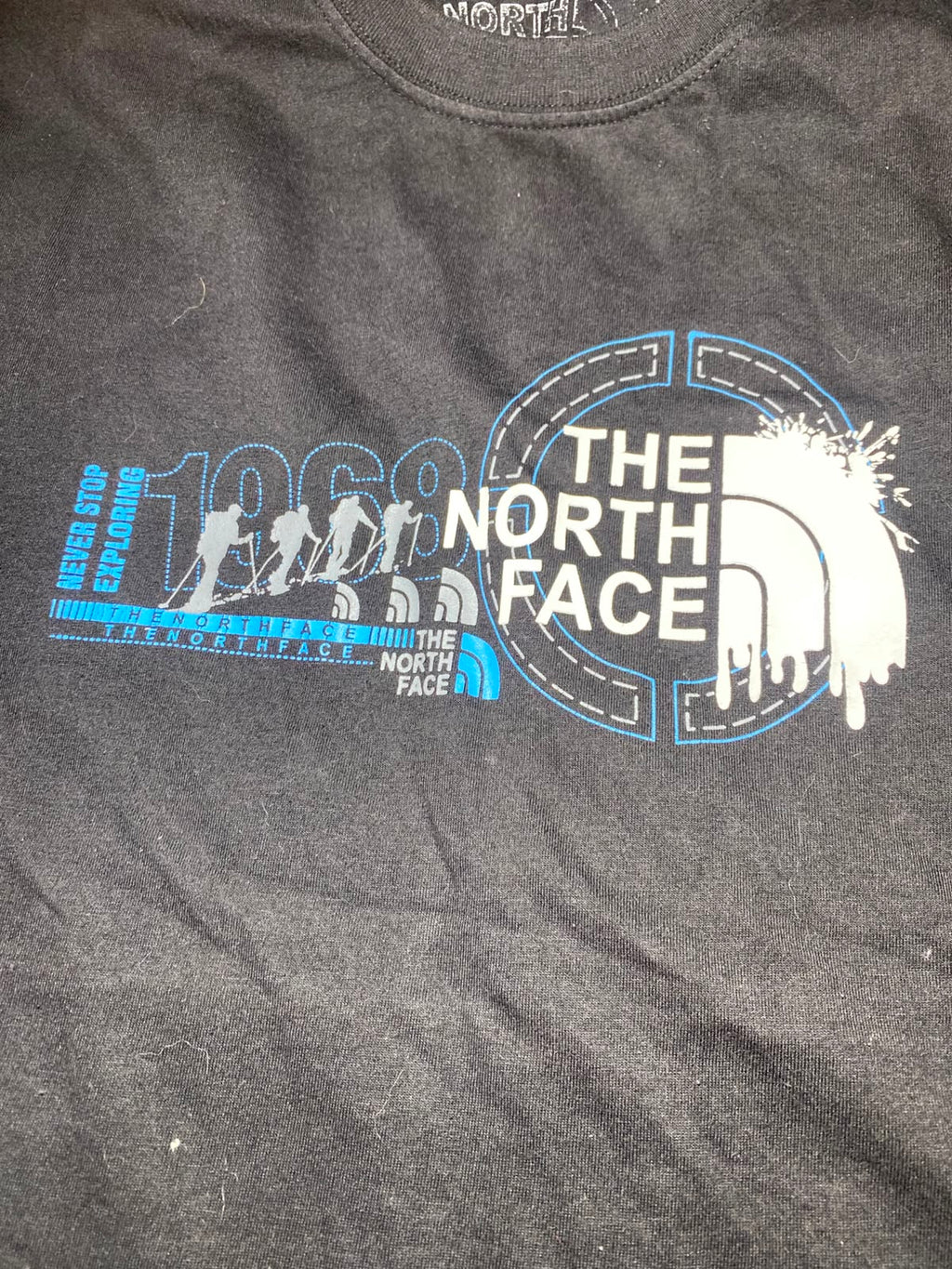 The North Face Tee - Detalle gráfico pecho 2